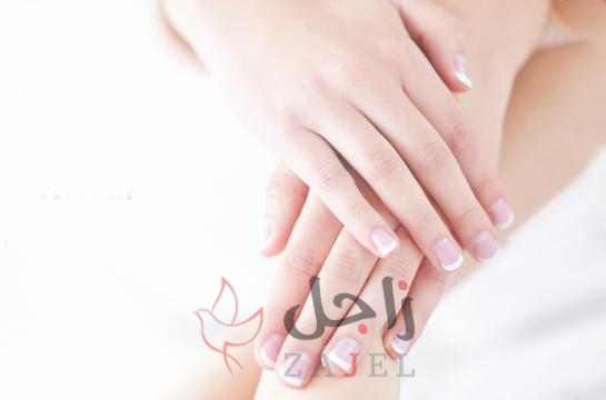 HJ - زاجل نيوز