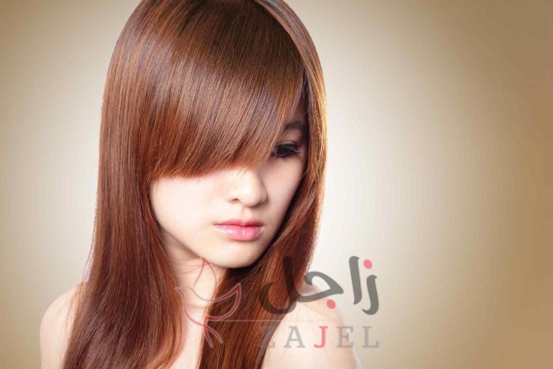 NM - زاجل نيوز