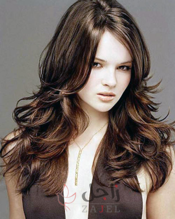 SD 1 - زاجل نيوز