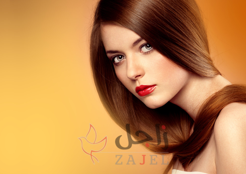 SD - زاجل نيوز