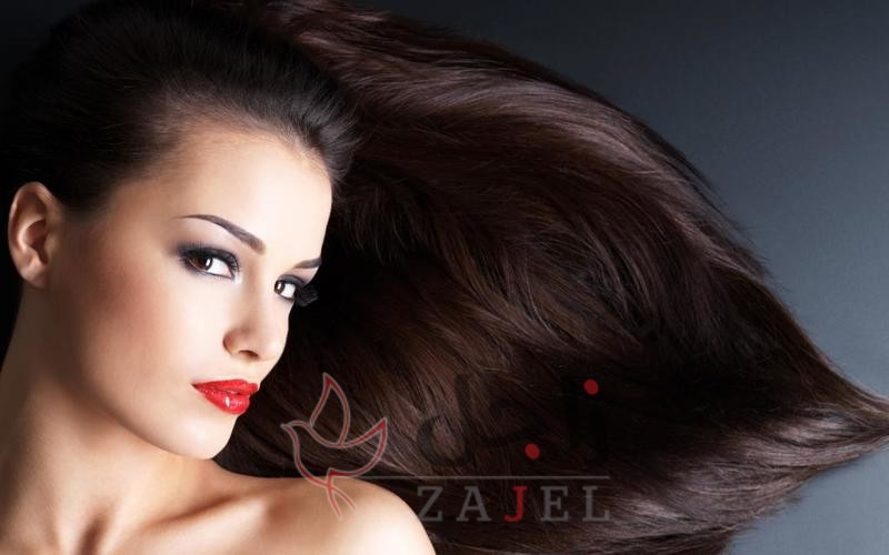 TRWE - زاجل نيوز