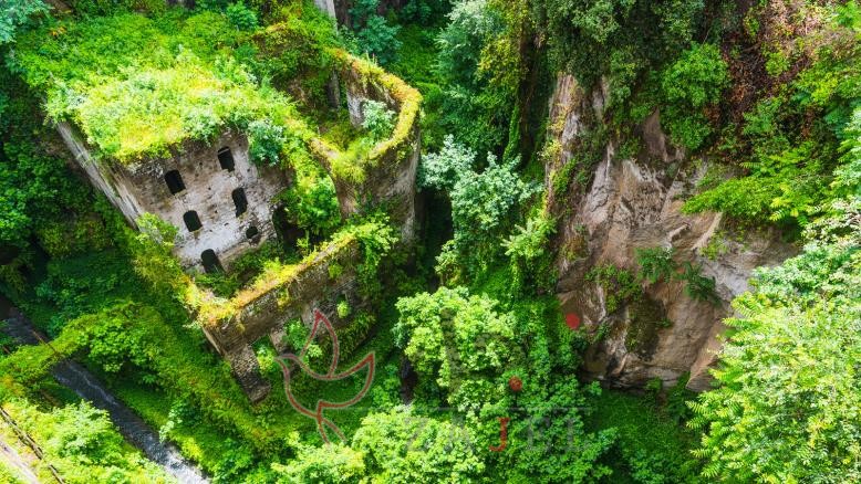 cc167e9e 54c7 469e 816f 4582ce7cc92e 5 - زاجل نيوز