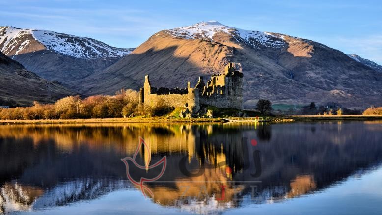 cc167e9e 54c7 469e 816f 4582ce7cc92e 6 - زاجل نيوز