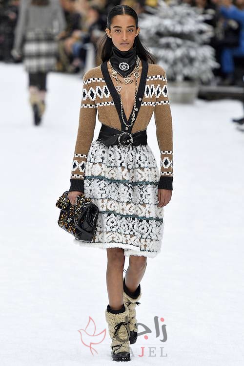 dr shnyl - زاجل نيوز