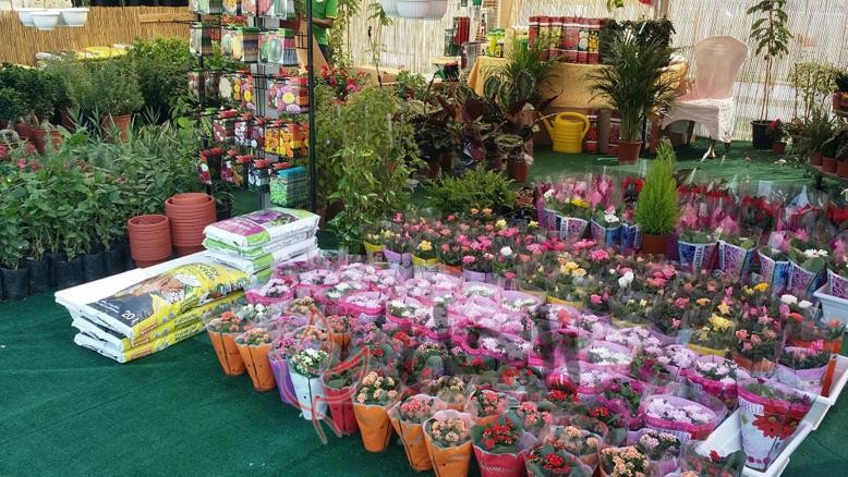 iii - زاجل نيوز