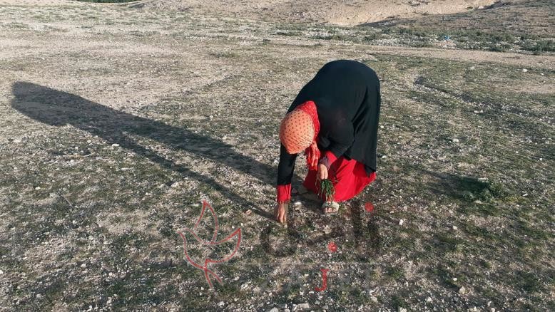 j - زاجل نيوز