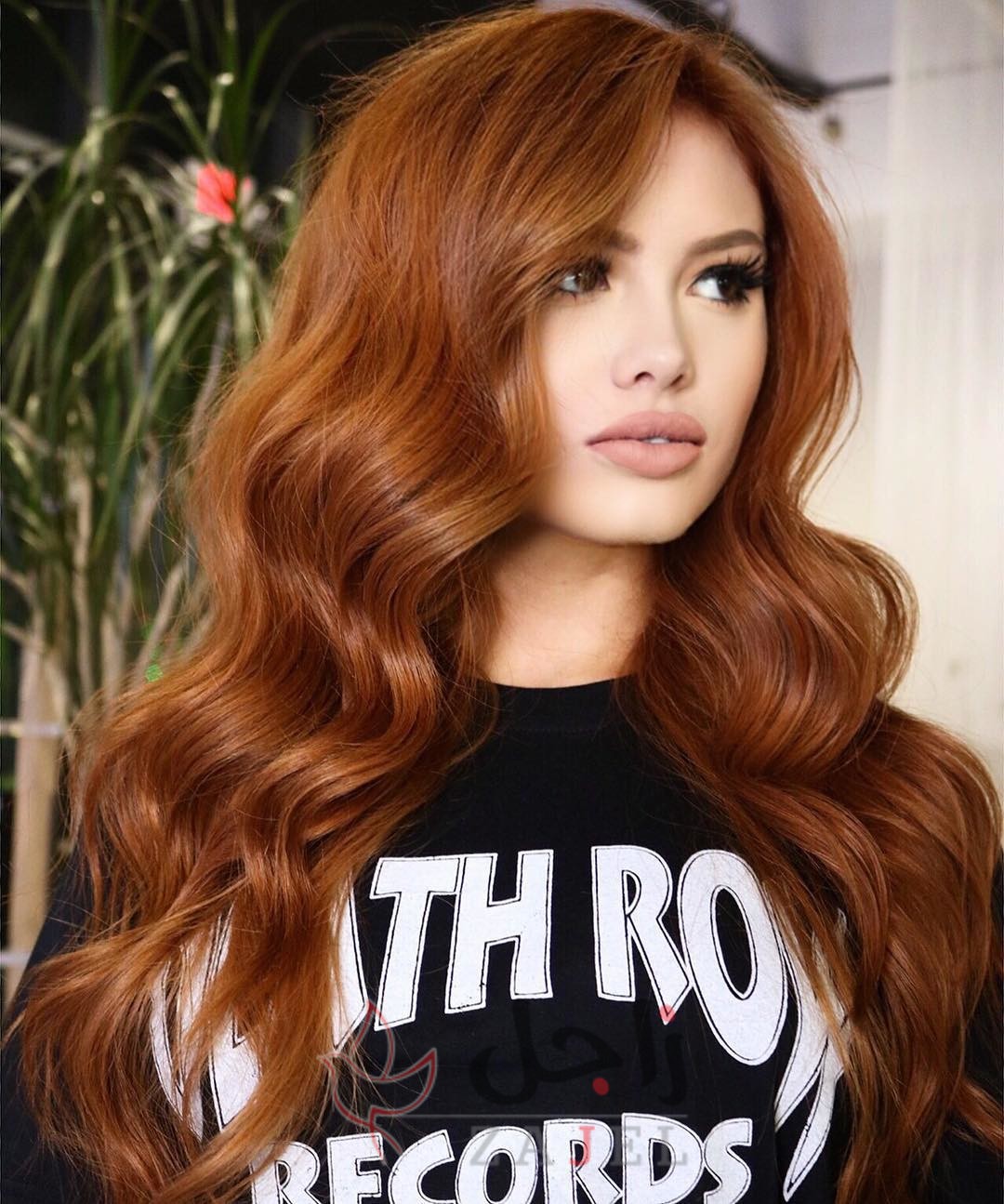 kkl - زاجل نيوز