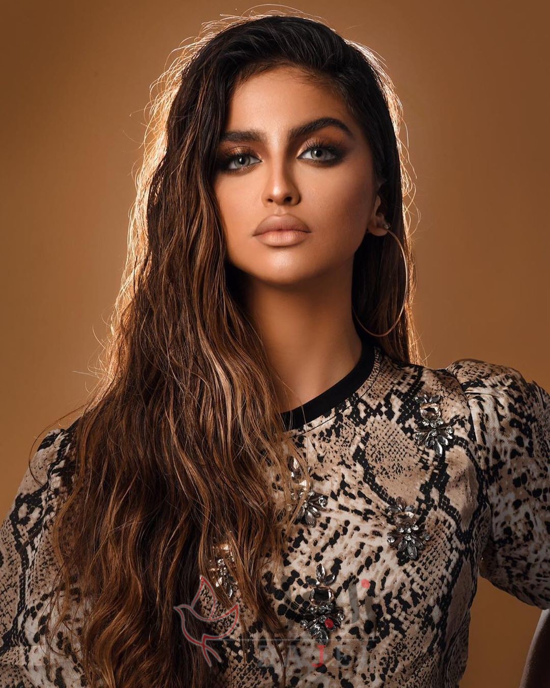 mkyj brwnzy mn hl ltrk - زاجل نيوز