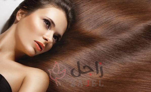 nsy llmhfz l lshr lmsbwg - زاجل نيوز