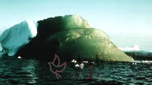 ool - زاجل نيوز