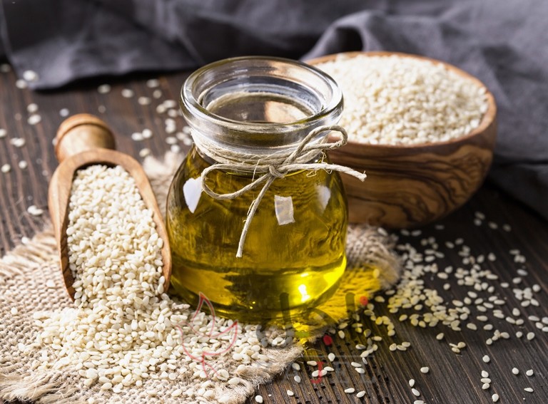 ssssssss - زاجل نيوز