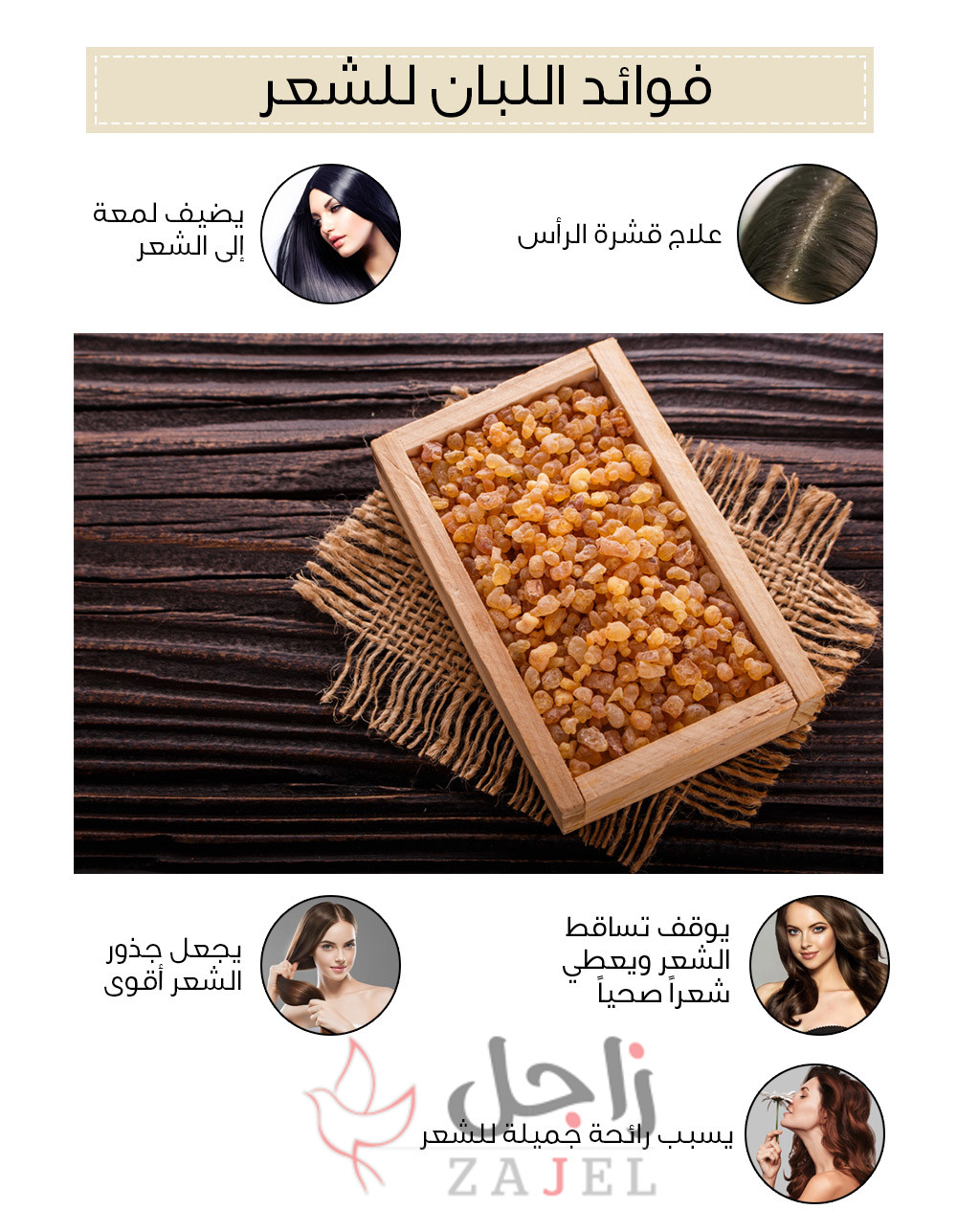 زاااااااااااااااجل - زاجل نيوز