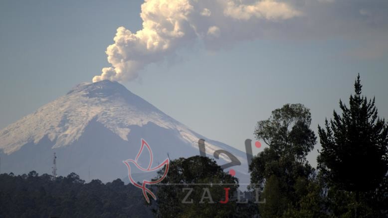 زاججل المنوعاااااااات - زاجل نيوز