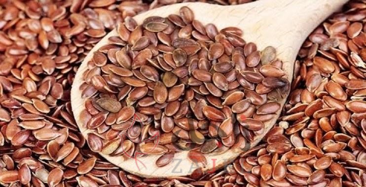 زاجل ااالجمال - زاجل نيوز