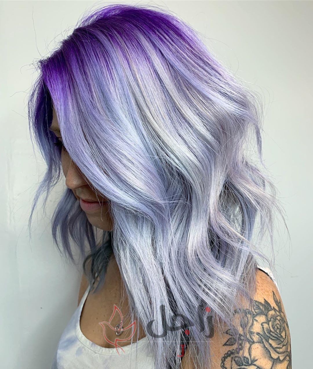 زاجل الجما ل - زاجل نيوز