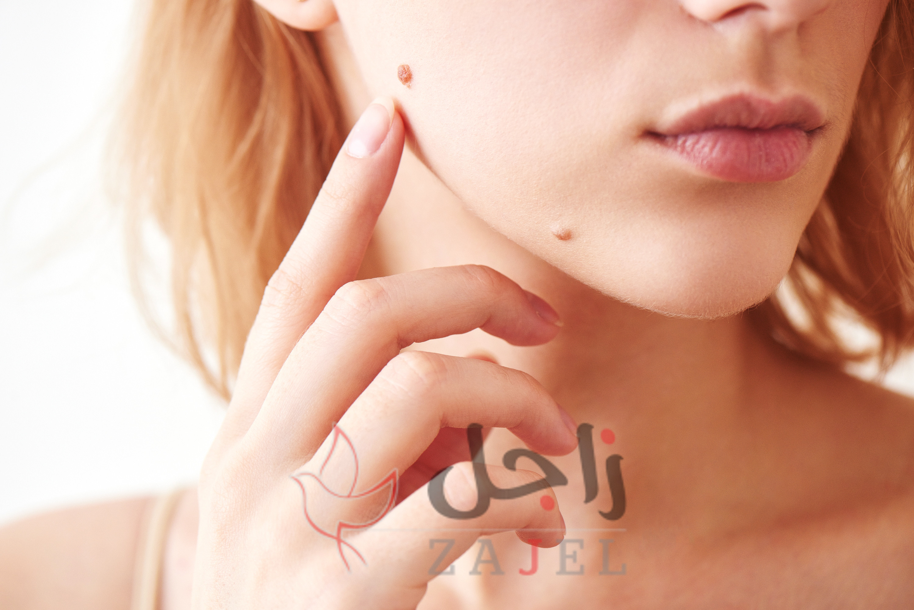 زاجل الجمااال ؤ - زاجل نيوز