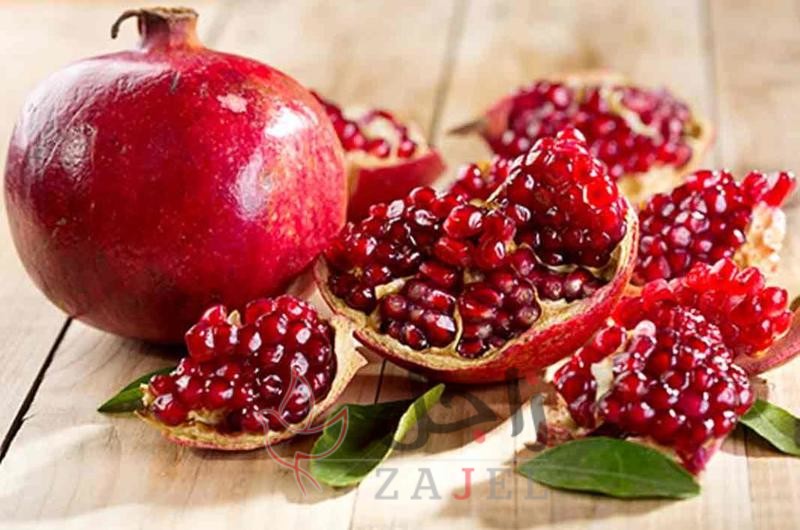 زاجل الجمااال ؤؤ - زاجل نيوز