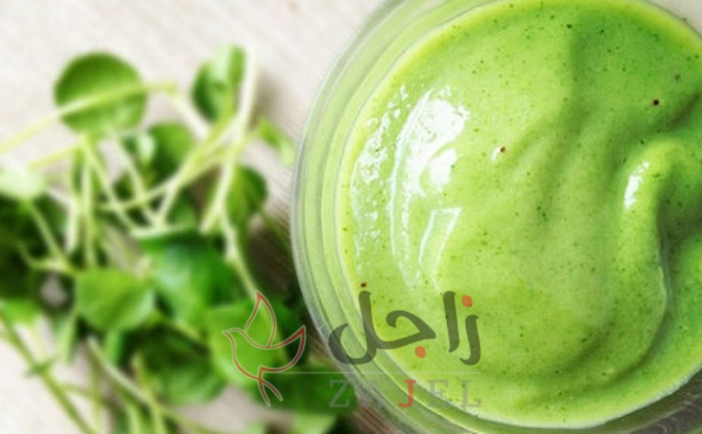 زاجل الجمااال ؤل - زاجل نيوز