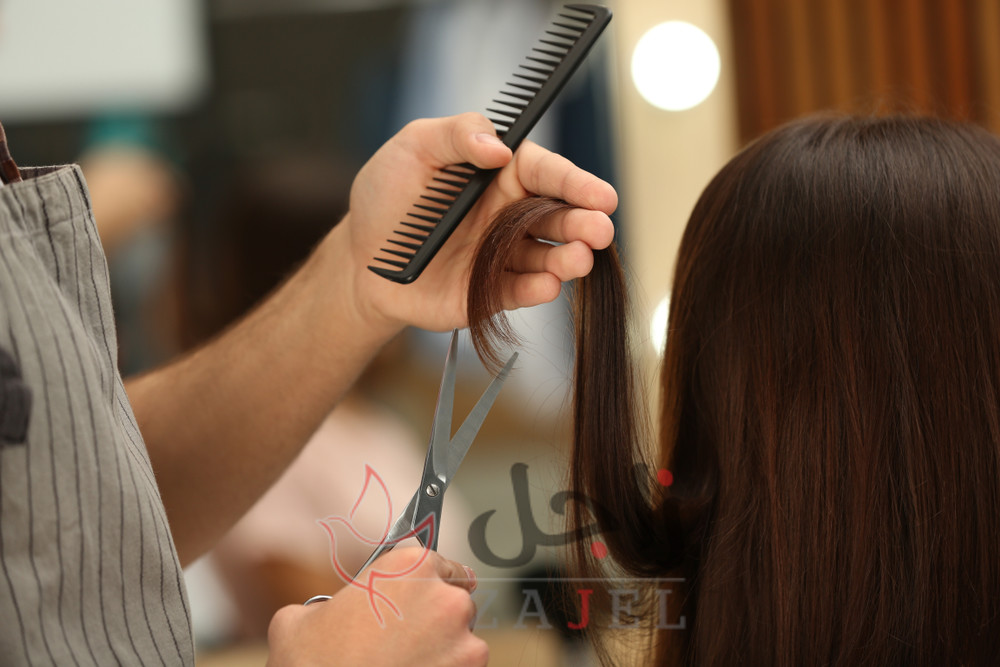 زاجل الجماال ت - زاجل نيوز