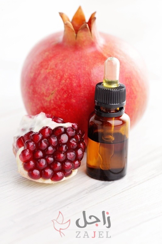 زاجل الجمال ؤيي - زاجل نيوز