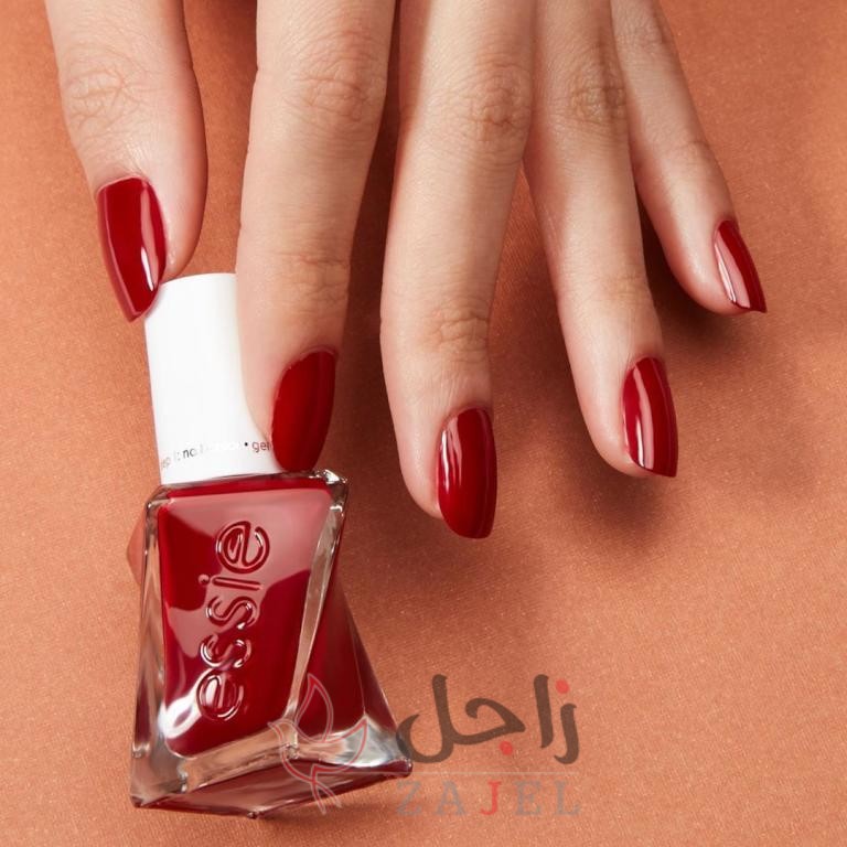 زاجل الجمال ااااا - زاجل نيوز