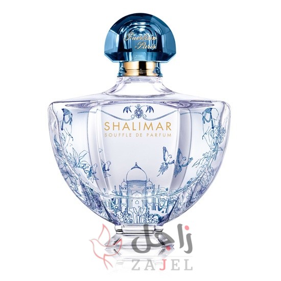 زاجل الجمال الاحلا - زاجل نيوز