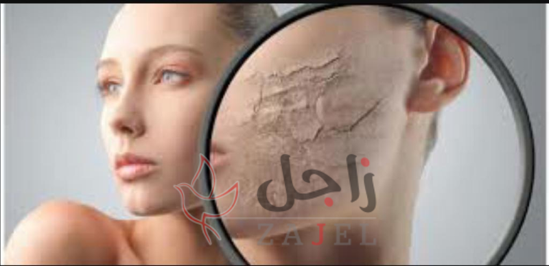 زاجل الجمال الباغ - زاجل نيوز