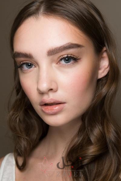 زاجل الجمال اليوم - زاجل نيوز