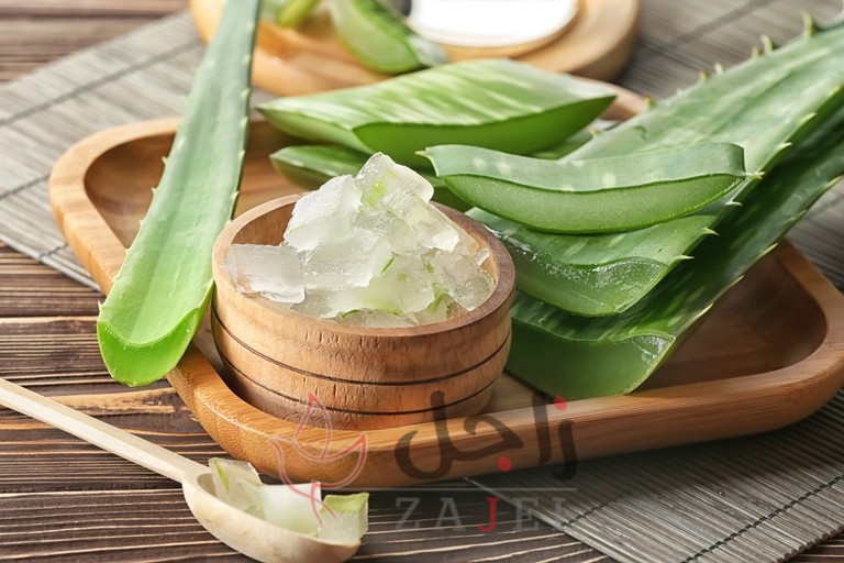 زاجل الجمال ببيء - زاجل نيوز