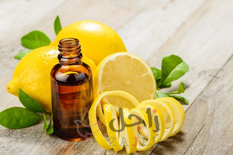 زاجل الجمال بتيب - زاجل نيوز