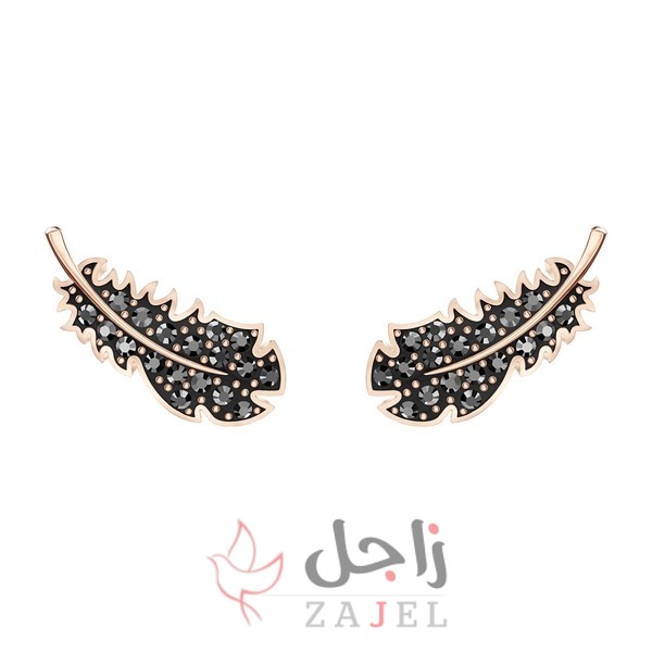 زاجل الجمال بمك - زاجل نيوز