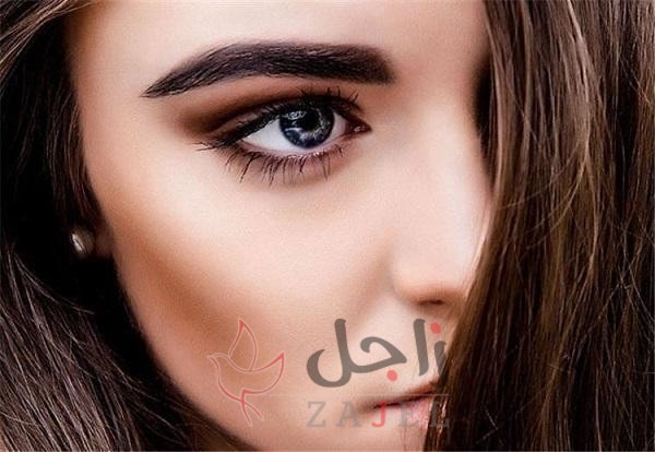 زاجل الجمال بي - زاجل نيوز