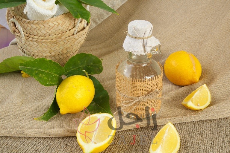 زاجل الجمال حلف - زاجل نيوز