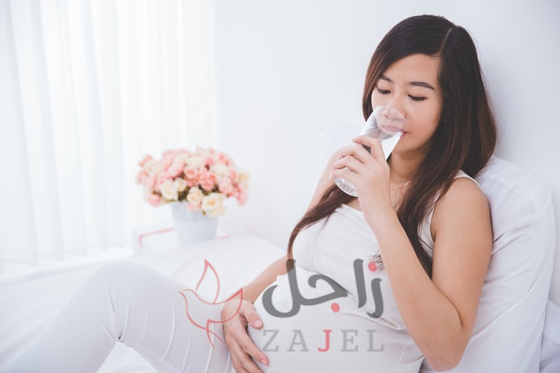 زاجل الجمال ربؤ - زاجل نيوز