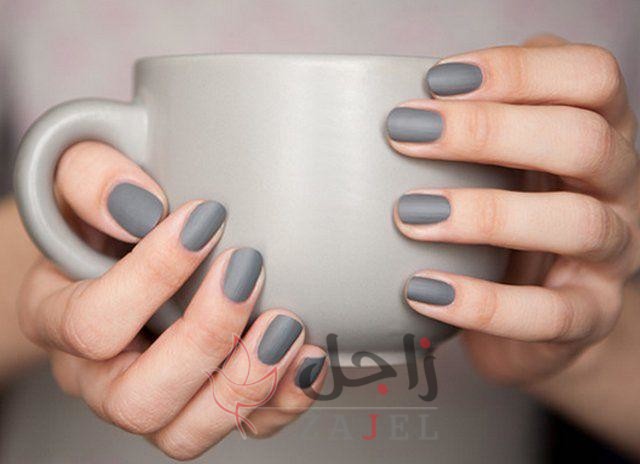 زاجل الجمال ربمك - زاجل نيوز