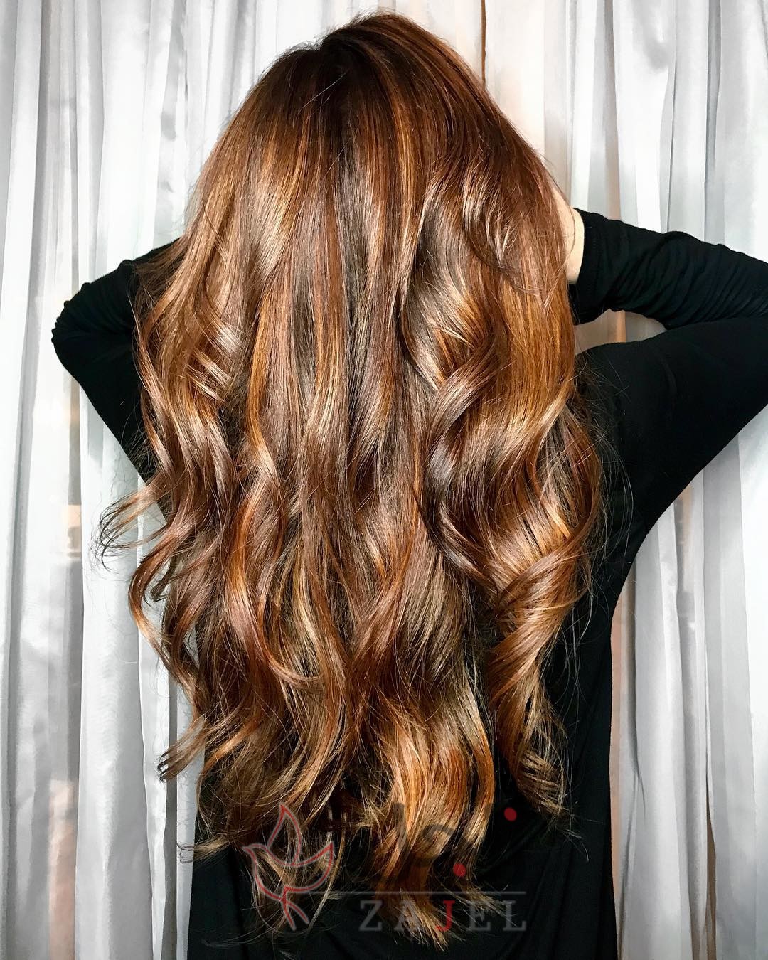 زاجل الجمال سسي 1 - زاجل نيوز