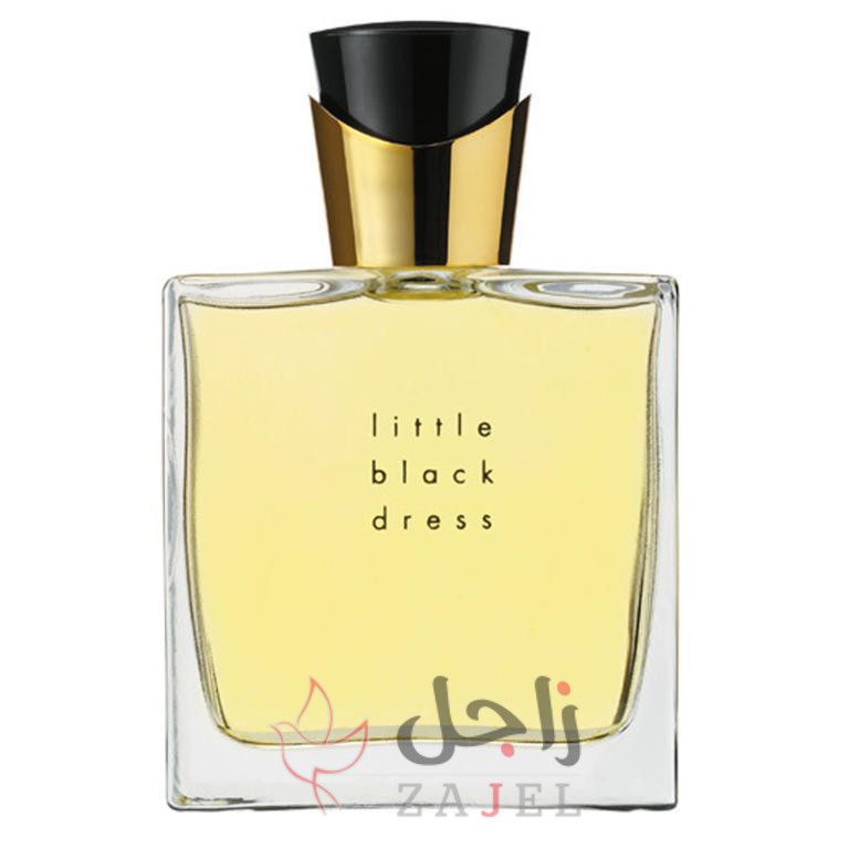 زاجل الجمال سششس - زاجل نيوز