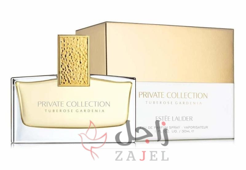 زاجل الجمال سيسس - زاجل نيوز