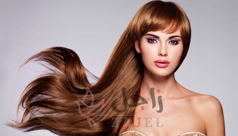 زاجل الجمال لاب - زاجل نيوز