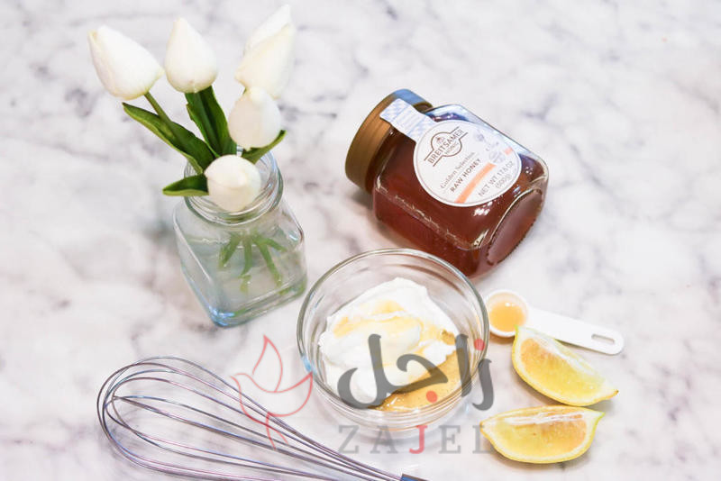 زاجل الجمال لبتن - زاجل نيوز