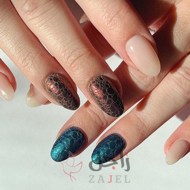 زاجل الجمال للا 1 - زاجل نيوز