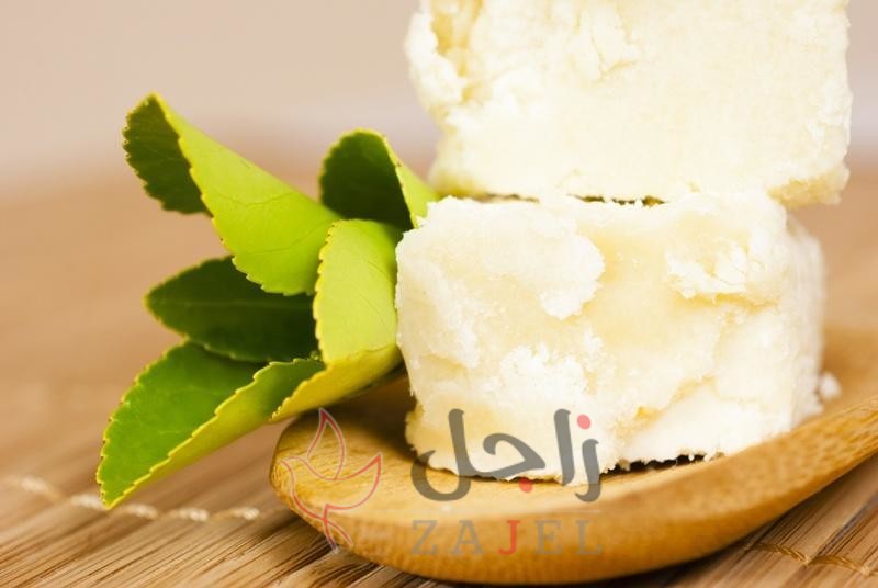 زاجل الجمال من - زاجل نيوز