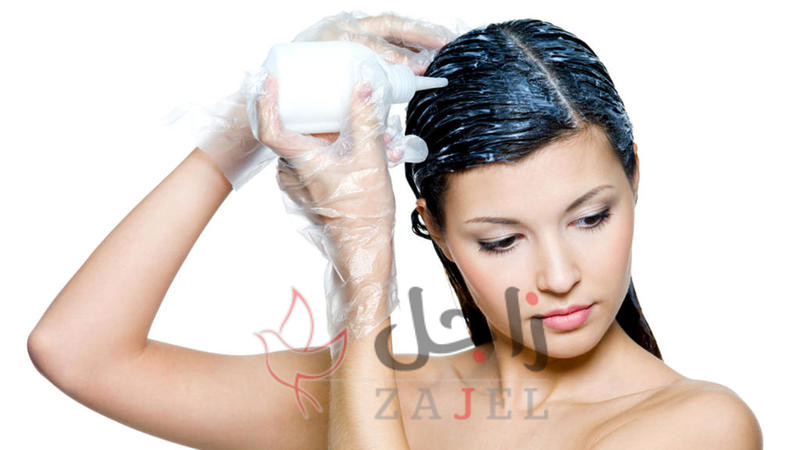 زاجل الجمال نتخهن - زاجل نيوز