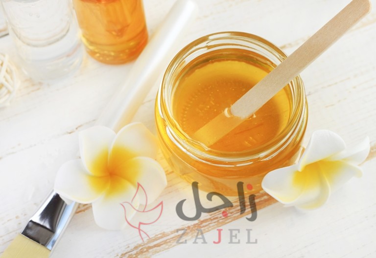 زاجل الجمال يب - زاجل نيوز