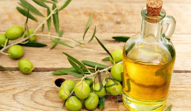 زاجل الجمالا ب 1 - زاجل نيوز