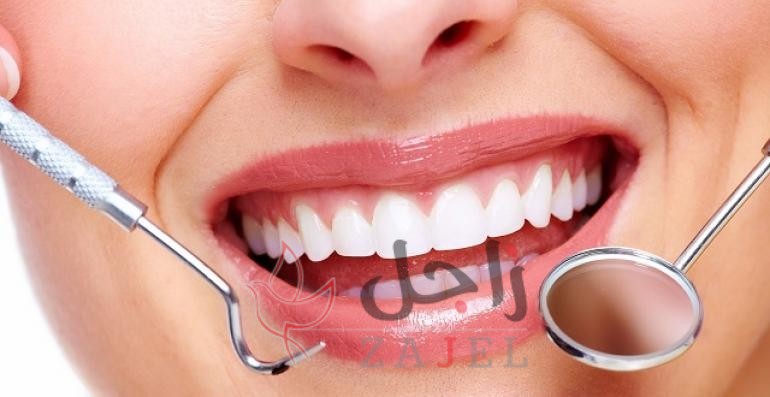 زاجل الجمالا - زاجل نيوز