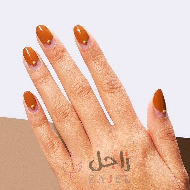 زاجل الجمالطططط - زاجل نيوز