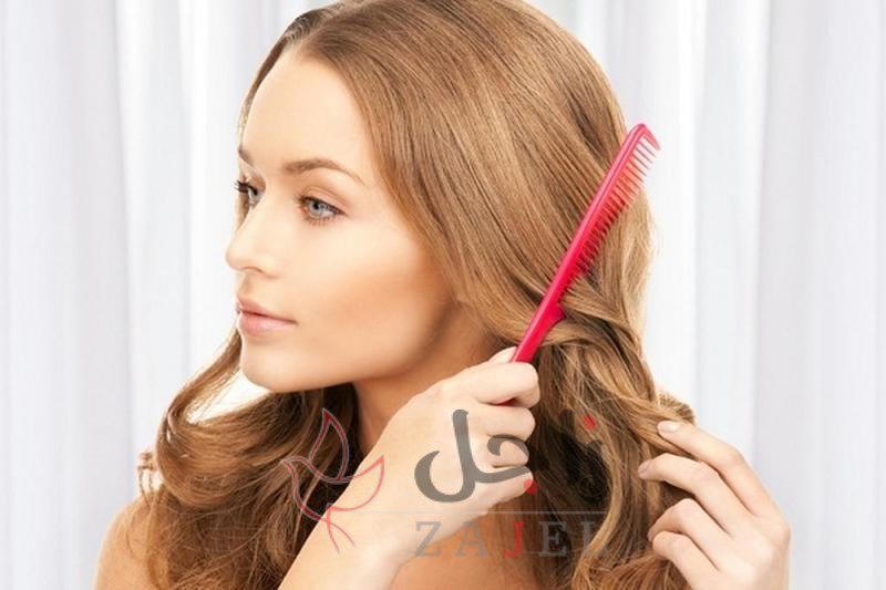 زاجل الجمالل 3 - زاجل نيوز