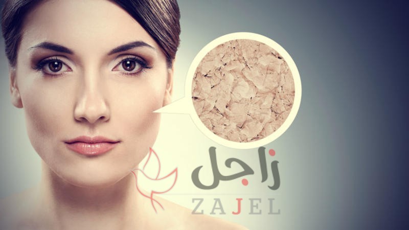 زاجل الجمالل ن - زاجل نيوز