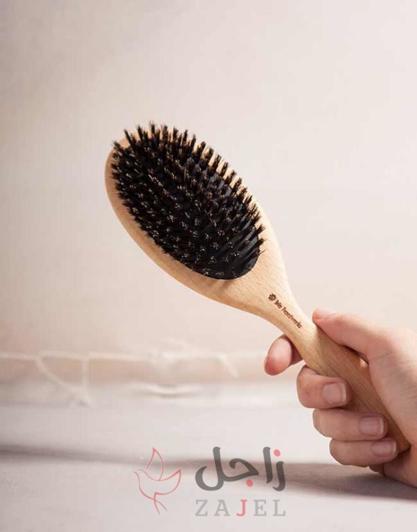 زاجل الجماللللللللللللللللللل - زاجل نيوز